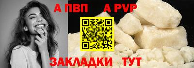 дмт Кингисепп