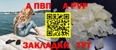 дмт Кингисепп