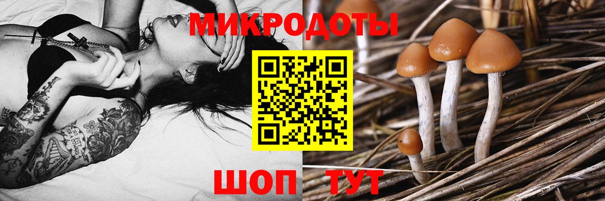 Псилоцибиновые грибы мухоморы  Вход с VPN  Галлюциногенные грибы прущие грибы  Киров 